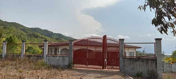 House and Lot for sale in Siquijor - image 21