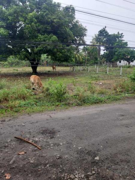 Residential Lot for sale in Dumaguete - image 10