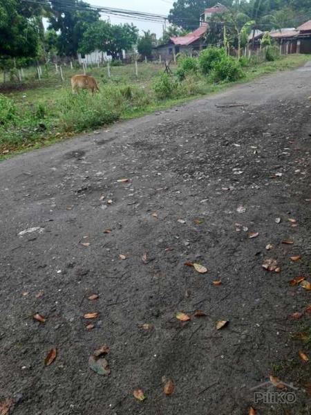 Residential Lot for sale in Dumaguete - image 11