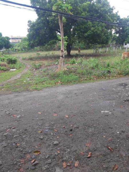Residential Lot for sale in Dumaguete - image 12
