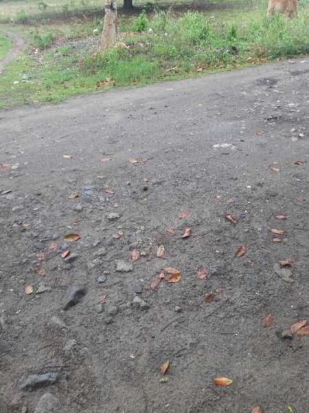 Residential Lot for sale in Dumaguete - image 13