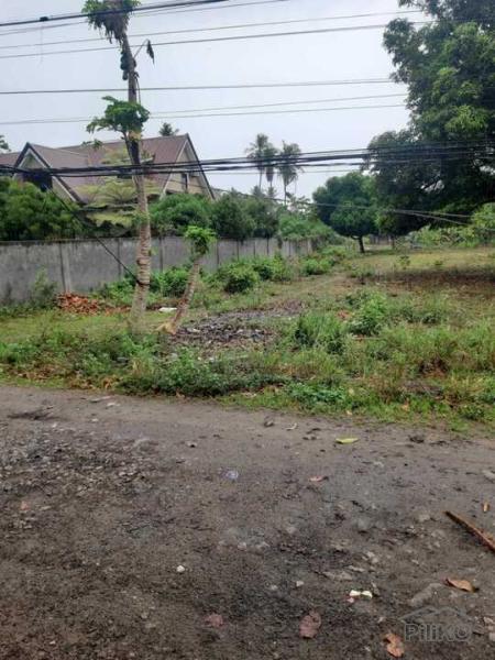 Residential Lot for sale in Dumaguete - image 14