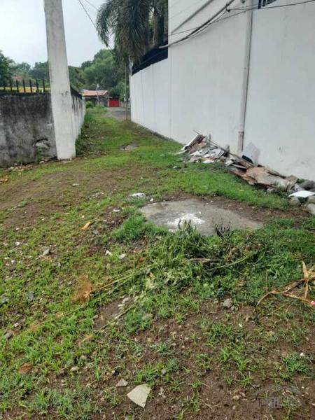 Residential Lot for sale in Dumaguete in Philippines