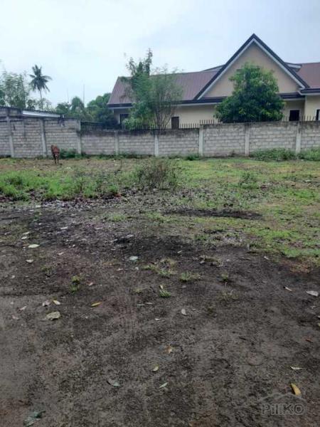 Picture of Residential Lot for sale in Dumaguete in Philippines