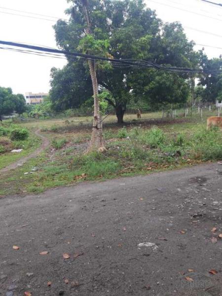 Residential Lot for sale in Dumaguete in Negros Oriental - image
