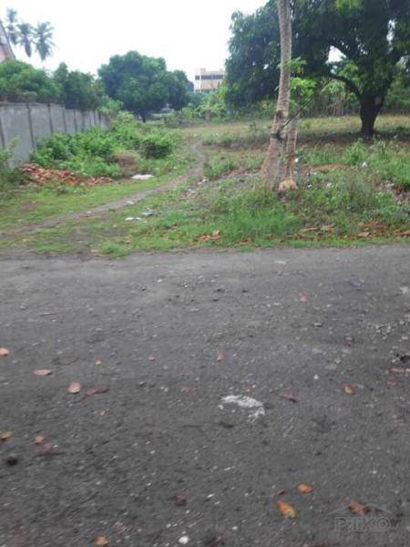 Residential Lot for sale in Dumaguete in Philippines - image