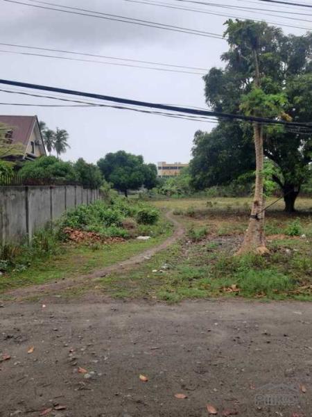 Residential Lot for sale in Dumaguete - image 9