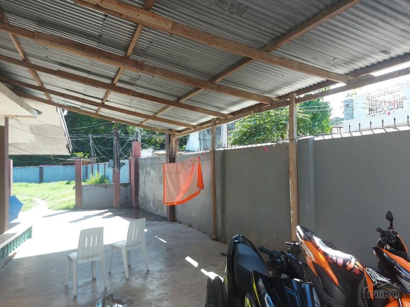 Commercial Lot for sale in Dumaguete - image 19