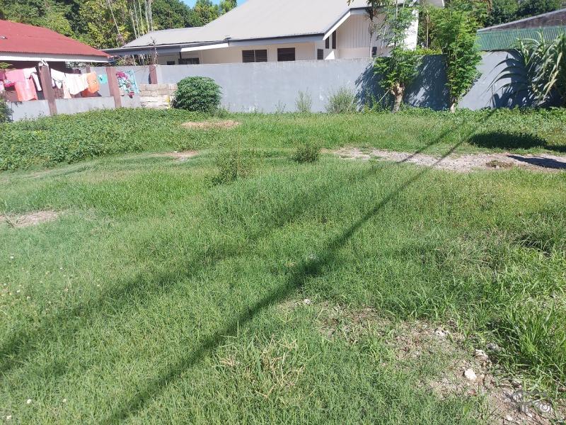 Commercial Lot for sale in Dumaguete in Negros Oriental