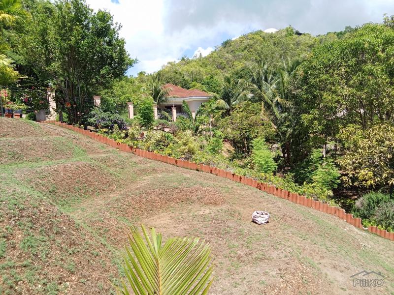 Picture of 3 bedroom House and Lot for sale in Larena in Philippines
