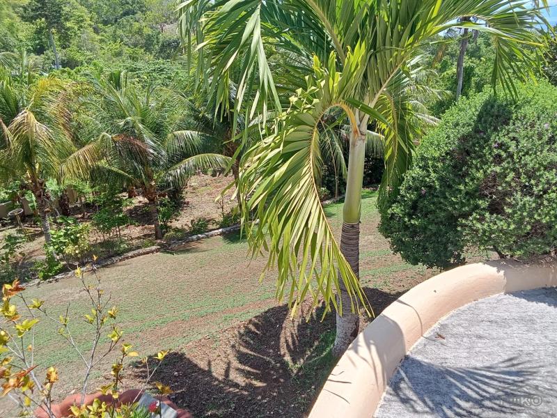 3 bedroom House and Lot for sale in Larena in Siquijor - image