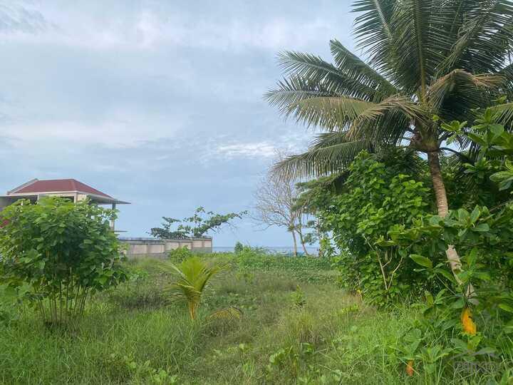 Residential Lot for sale in Sibulan - image 12