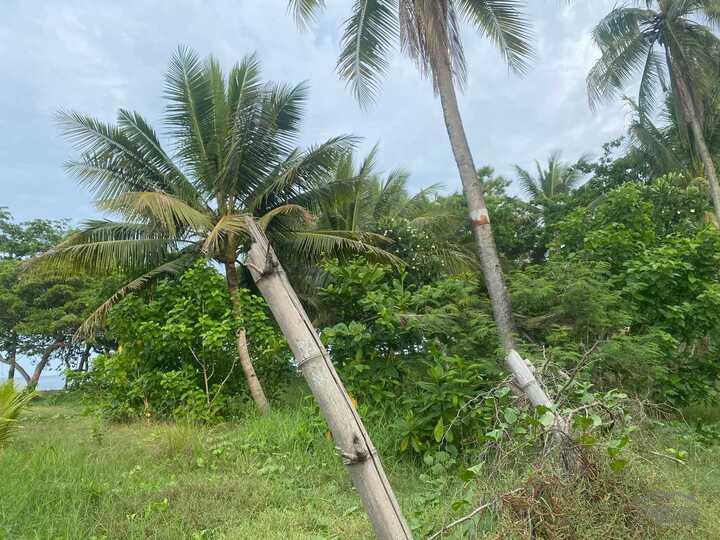 Residential Lot for sale in Sibulan - image 14