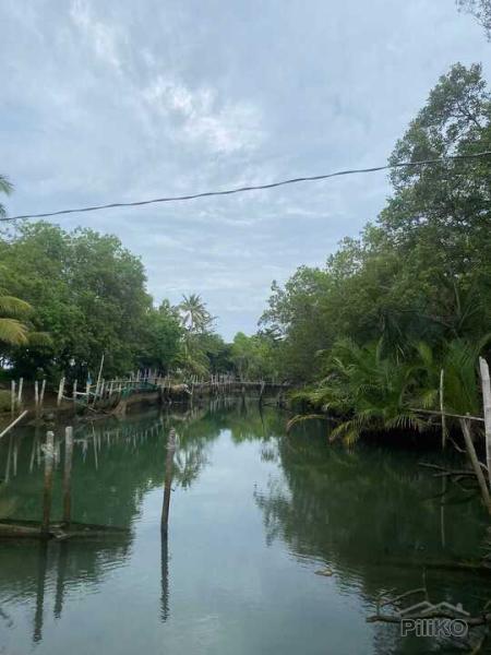Residential Lot for sale in Sibulan - image 17