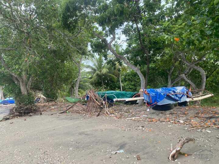 Residential Lot for sale in Sibulan - image 9