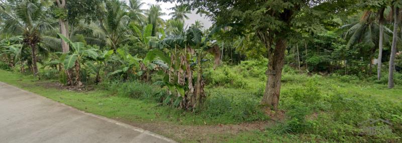 Residential Lot for sale in Maria - image 3