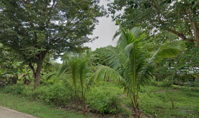 Residential Lot for sale in Maria - image 4