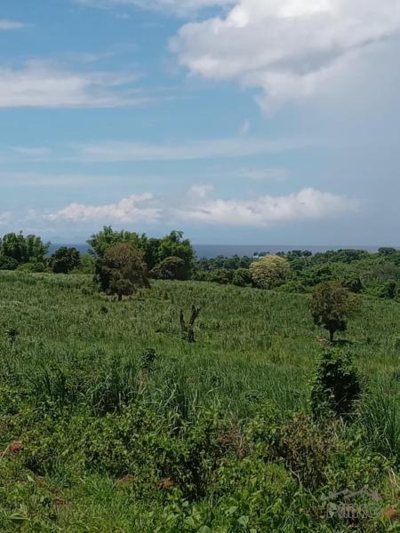 Residential Lot for sale in Zamboanguita