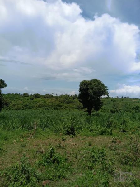 Residential Lot for sale in Zamboanguita in Philippines