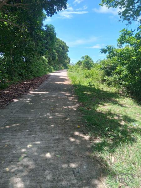 Picture of Residential Lot for sale in Zamboanguita in Negros Oriental