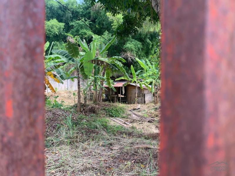 Residential Lot for sale in Dumaguete - image 10