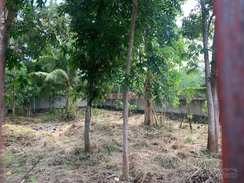 Residential Lot for sale in Dumaguete - image 11