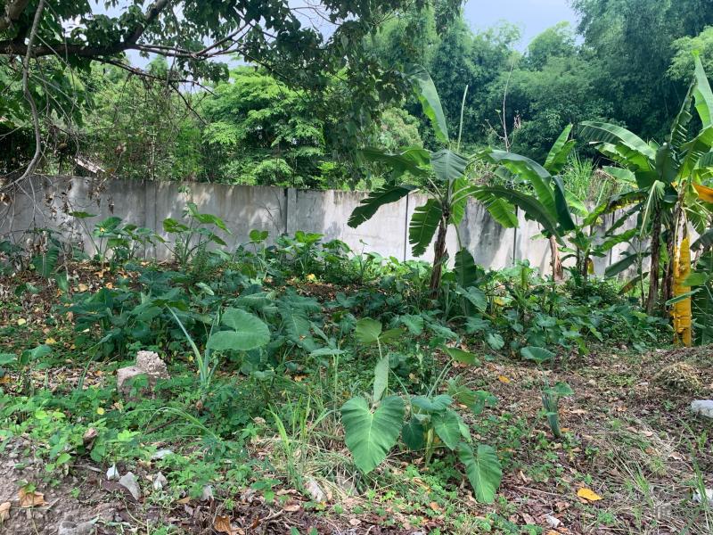 Residential Lot for sale in Dumaguete - image 16