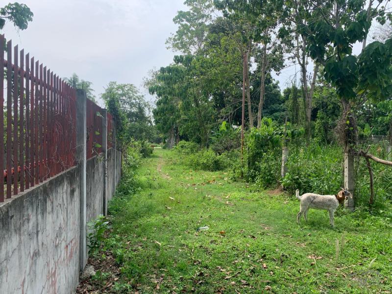 Residential Lot for sale in Dumaguete - image 17