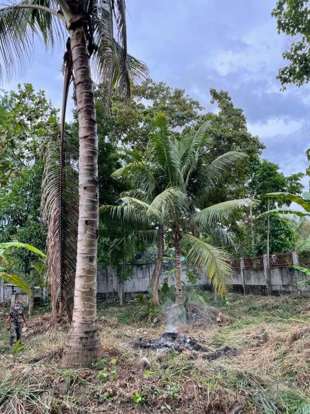 Residential Lot for sale in Dumaguete - image 5
