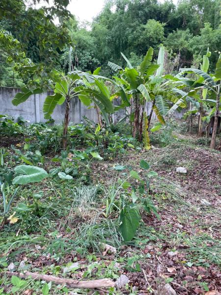 Picture of Residential Lot for sale in Dumaguete in Philippines