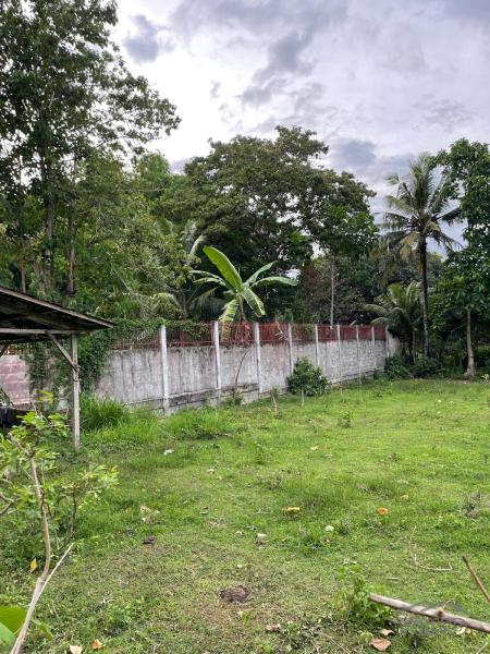 Residential Lot for sale in Dumaguete - image 7