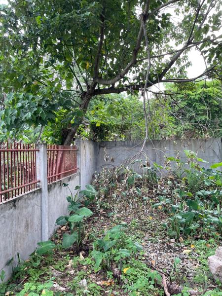 Residential Lot for sale in Dumaguete - image 9
