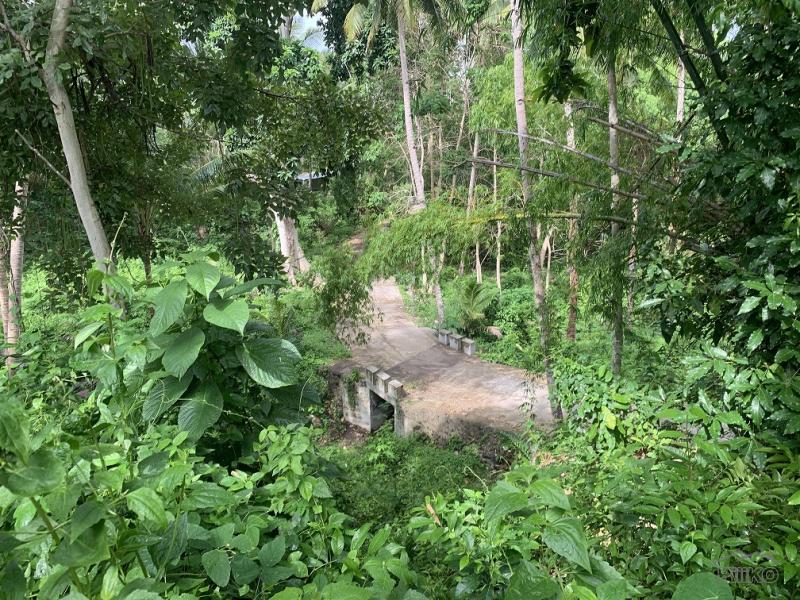Residential Lot for sale in Dauin - image 10