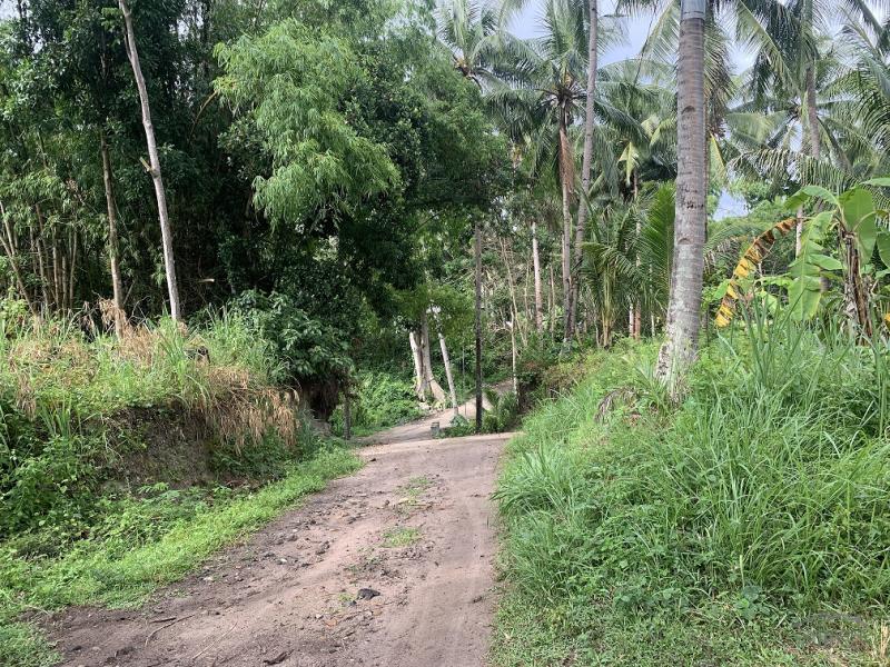 Residential Lot for sale in Dauin - image 2