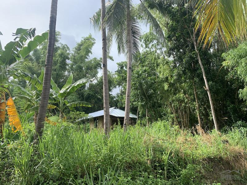 Residential Lot for sale in Dauin - image 7