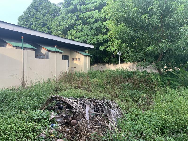 Other commercial for sale in Dumaguete - image 4