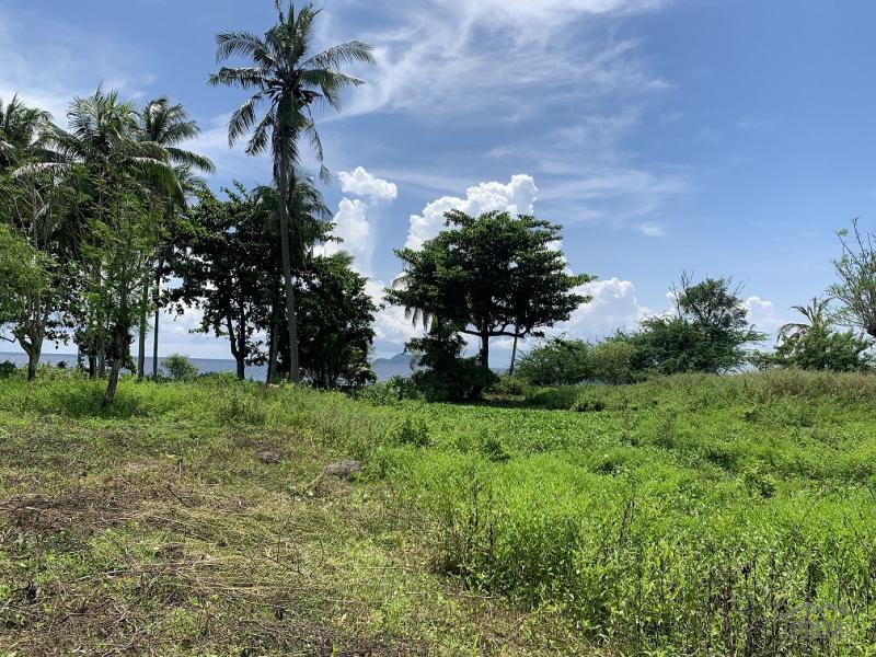 Residential Lot for sale in Zamboanguita - image 10