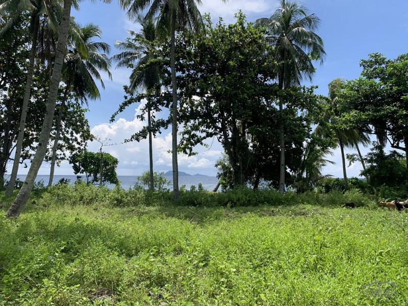 Residential Lot for sale in Zamboanguita - image 12