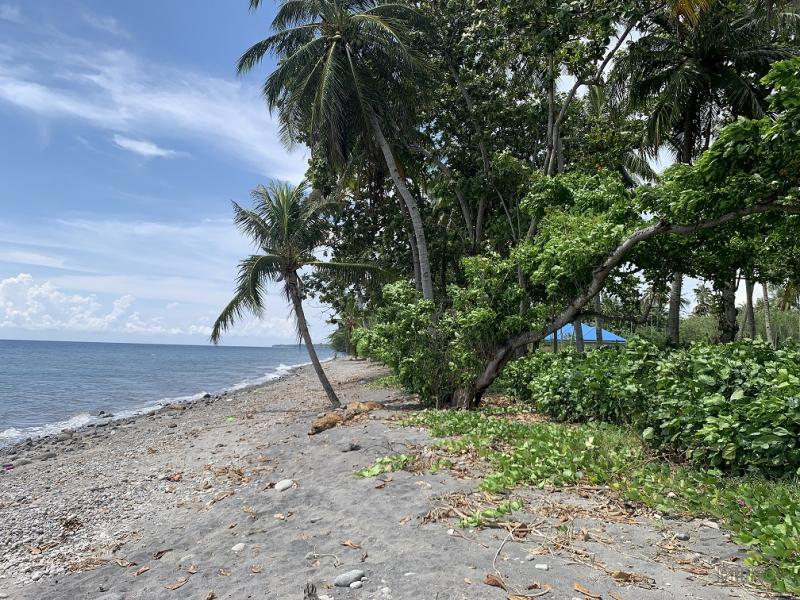Residential Lot for sale in Zamboanguita - image 13
