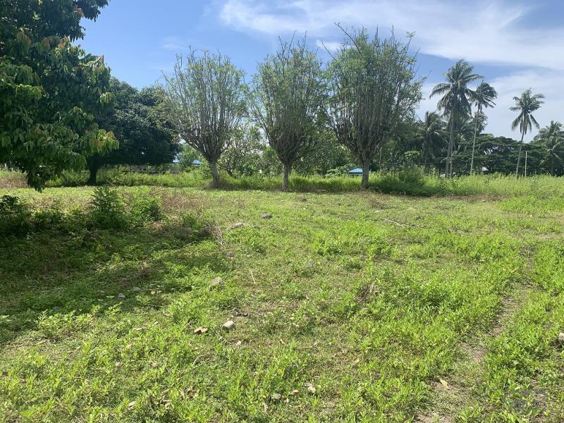 Residential Lot for sale in Zamboanguita - image 14