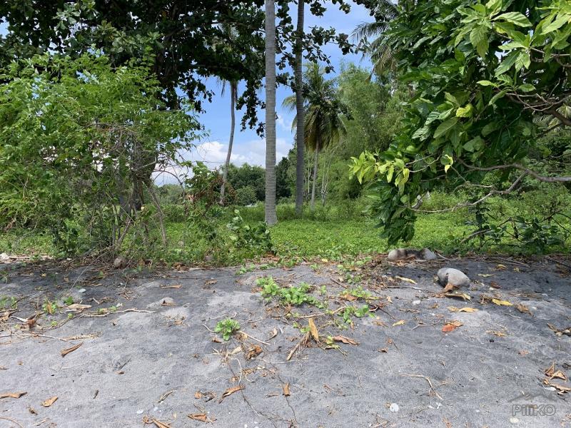 Residential Lot for sale in Zamboanguita - image 15