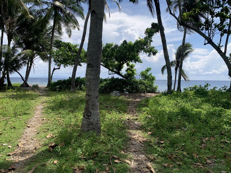Residential Lot for sale in Zamboanguita - image 17