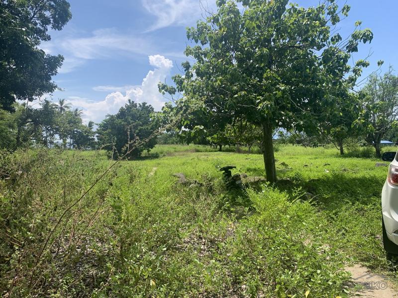 Residential Lot for sale in Zamboanguita