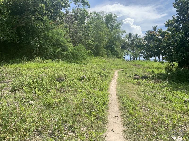 Picture of Residential Lot for sale in Zamboanguita in Philippines
