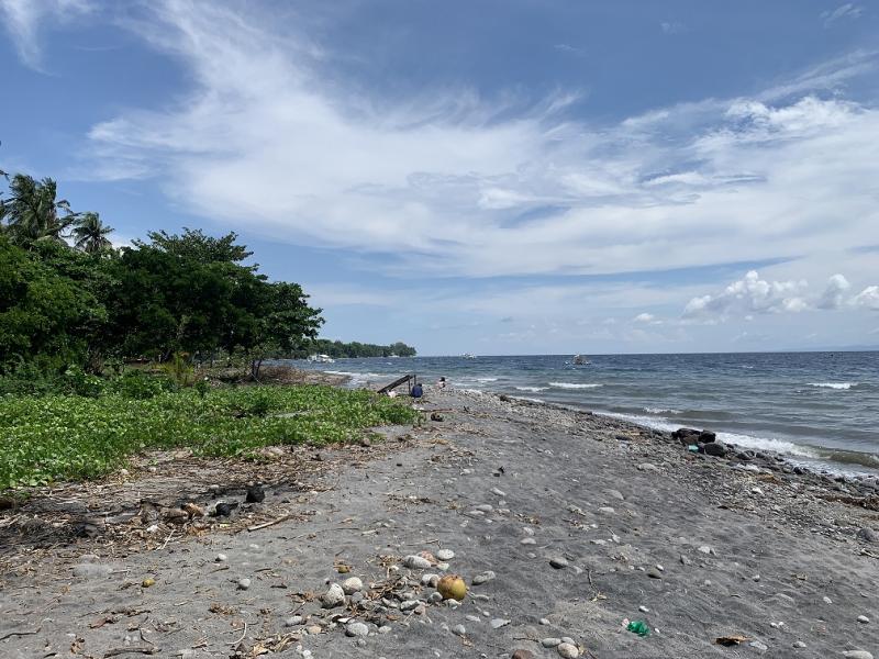 Residential Lot for sale in Zamboanguita in Negros Oriental - image