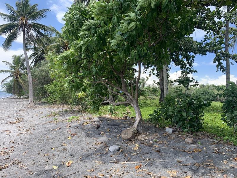 Residential Lot for sale in Zamboanguita in Philippines - image