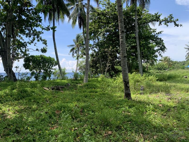Residential Lot for sale in Zamboanguita - image 9