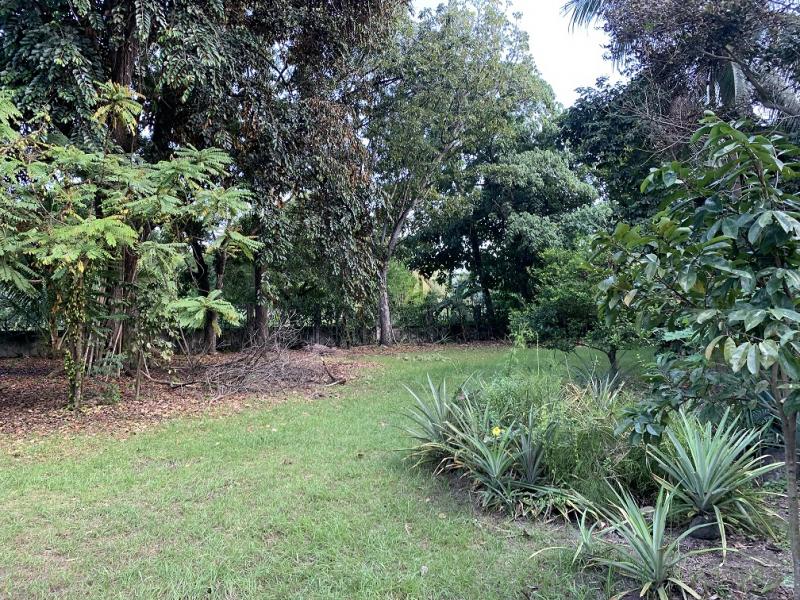 Residential Lot for sale in Dumaguete - image 10