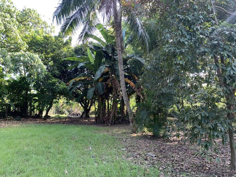 Residential Lot for sale in Dumaguete - image 11