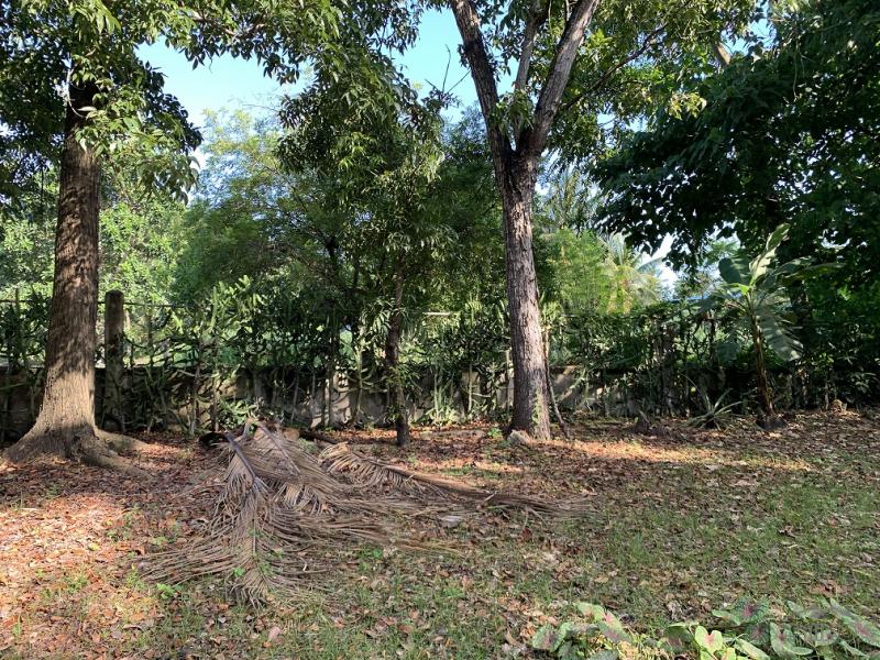 Residential Lot for sale in Dumaguete - image 12